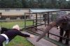Safaripark-Serengeti-Park-Hodenhagen-100827-DSC_0202.JPG