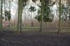 Tiergehege-Luetzen-120115-DSC_0422.JPG