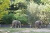 Tierpark Hagenbeck-Hamburg-120904-DSC_0777.JPG