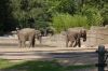 Tierpark Hagenbeck-Hamburg-120904-DSC_0780.JPG