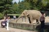 Tierpark Hagenbeck-Hamburg-120904-DSC_0787.JPG