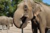 Tierpark Hagenbeck-Hamburg-120904-DSC_0791.JPG