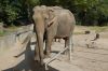 Tierpark Hagenbeck-Hamburg-120904-DSC_0795.JPG