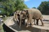 Tierpark Hagenbeck-Hamburg-120904-DSC_0827.JPG