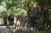 Tierpark Hagenbeck-Hamburg-120904-DSC_0866.JPG