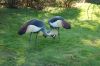 Tierpark Hagenbeck-Hamburg-B-120904-DSC_0168.JPG