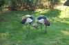 Tierpark Hagenbeck-Hamburg-B-120904-DSC_0169.JPG