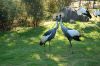 Tierpark Hagenbeck-Hamburg-B-120904-DSC_0177.JPG