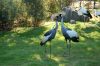 Tierpark Hagenbeck-Hamburg-B-120904-DSC_0178.JPG