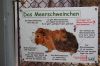 Wildpark-Christianenthal-120830-DSC_0020.JPG