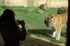 Zoo-Hannover-110409-DSC_0230.JPG