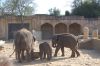 Zoo-Hannover-110409-DSC_0259.JPG