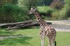 Zoo-Leipzig-110928-DSC_0489.jpg