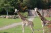 Zoo-Leipzig-110928-DSC_0490.jpg