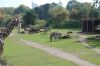 Zoo-Leipzig-110928-DSC_0491.jpg