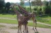 Zoo-Leipzig-110928-DSC_0499.jpg