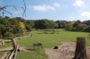 Zoo-Leipzig-110928-DSC_0500.jpg