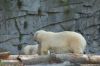 Berliner-Tierpark-2015-151010-DSC_0077.jpg