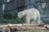 Berliner-Tierpark-2015-151010-DSC_0094.jpg