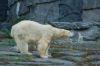 Berliner-Tierpark-2015-151010-DSC_0100.jpg