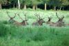 Wildpark-Leipzig-2017-170827-DSC_8041.jpg