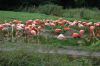 Tierpark-Berlin-2017-170909-DSC_8153.jpg