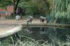 Tierpark-Berlin-2017-170909-DSC_8225.jpg