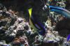 Aquarium-Berlin-2017-171205-DSC_9891.jpg