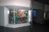 Aquarium-Berlin-2017-171205-DSC_9964.jpg