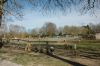 210403-Tierpark-Kruezen-DSC_1000.jpg