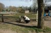 210403-Tierpark-Kruezen-DSC_1004.jpg