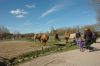 210403-Tierpark-Kruezen-DSC_1008.jpg