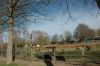 210403-Tierpark-Kruezen-DSC_1017.jpg