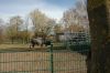 210403-Tierpark-Kruezen-DSC_1038.jpg