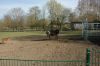 210403-Tierpark-Kruezen-DSC_1040.jpg