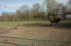 210403-Tierpark-Kruezen-DSC_1041.jpg