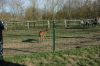 210403-Tierpark-Kruezen-DSC_1103.jpg