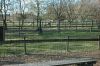 210403-Tierpark-Kruezen-DSC_1139.jpg