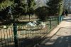 210403-Tierpark-Kruezen-DSC_1223.jpg