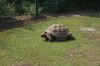 Tierpark-Berlin-130810-DSC_0121.JPG