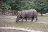 Tierpark-Berlin-130810-DSC_0637.JPG