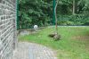 Tierpark-Berlin-130810-DSC_0803.JPG