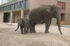 Zoologischer-Garten-Berlin-130506-DSC_0023.JPG