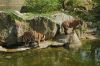 Zoologischer-Garten-Berlin-130506-DSC_0341.JPG