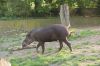 Zoologischer-Garten-Berlin-130506-DSC_0705.JPG