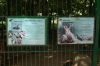 Tierpark-Neumuenster-130824-DSC_0055.JPG