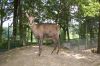 Tierpark-Neumuenster-130824-DSC_0058.JPG