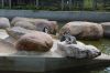 Tierpark-Neumuenster-130824-DSC_0124.JPG