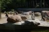 Tierpark-Neumuenster-130824-DSC_0136.JPG