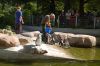 Tierpark-Neumuenster-130824-DSC_0149.JPG